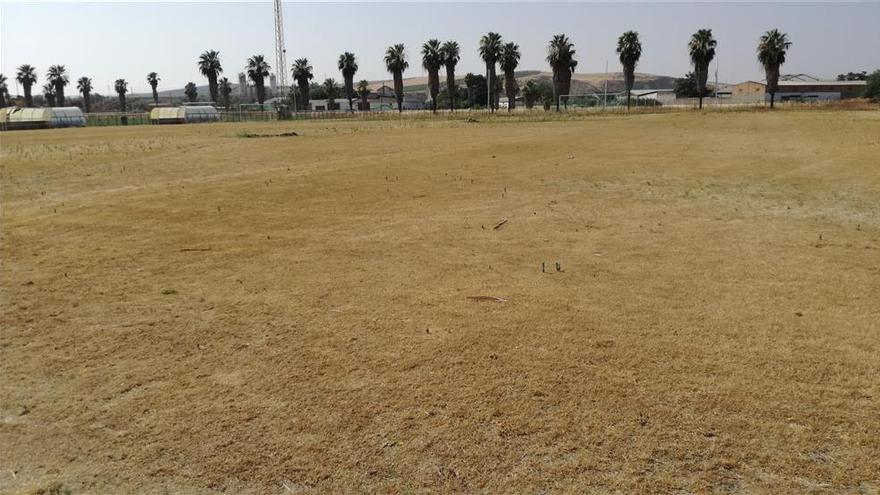 El sistema de riego del campo pequeño empieza a instalarse el lunes