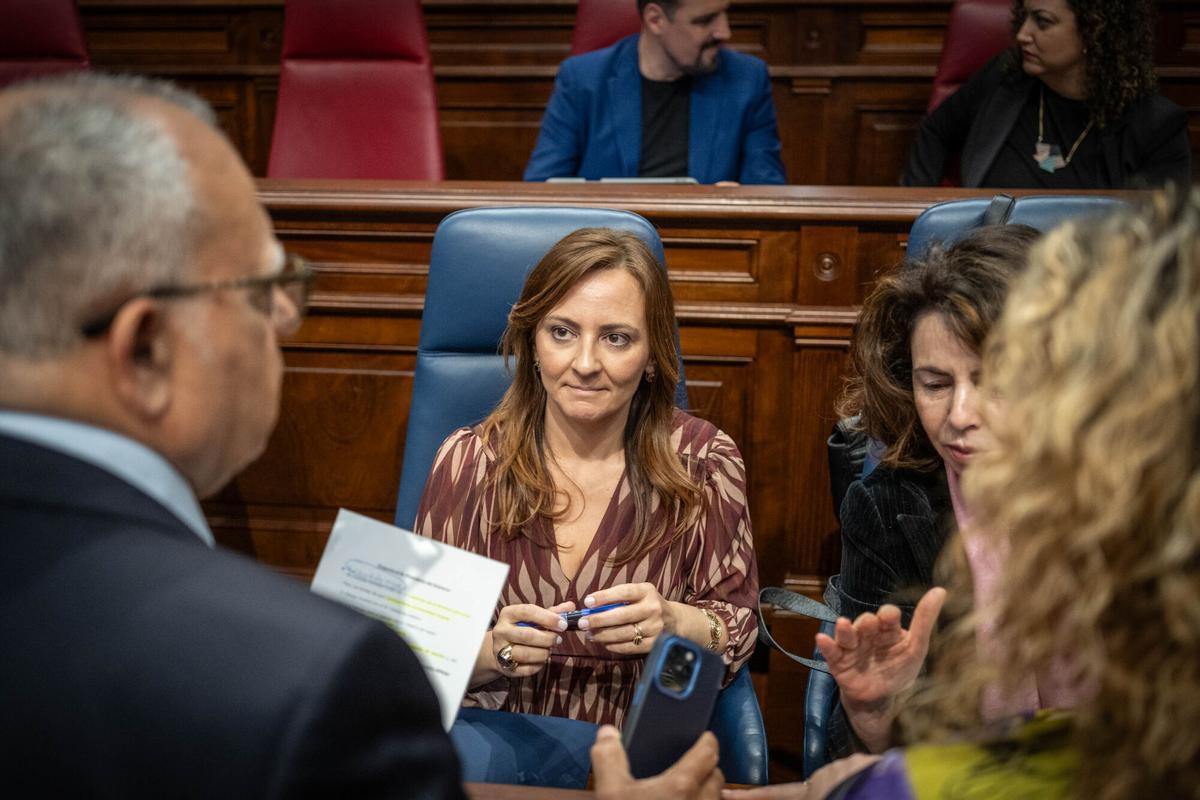 Pleno del Parlamento de Canarias (14/04/2026) Pleno del Parlamento de Canarias (14/04/2026)