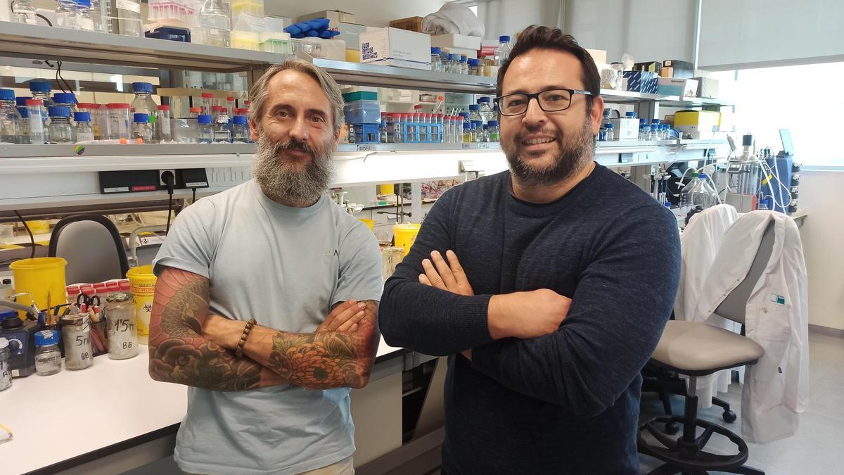Los investigadores Diego Romero y David Vela-Corcía, autores de este trabajo.