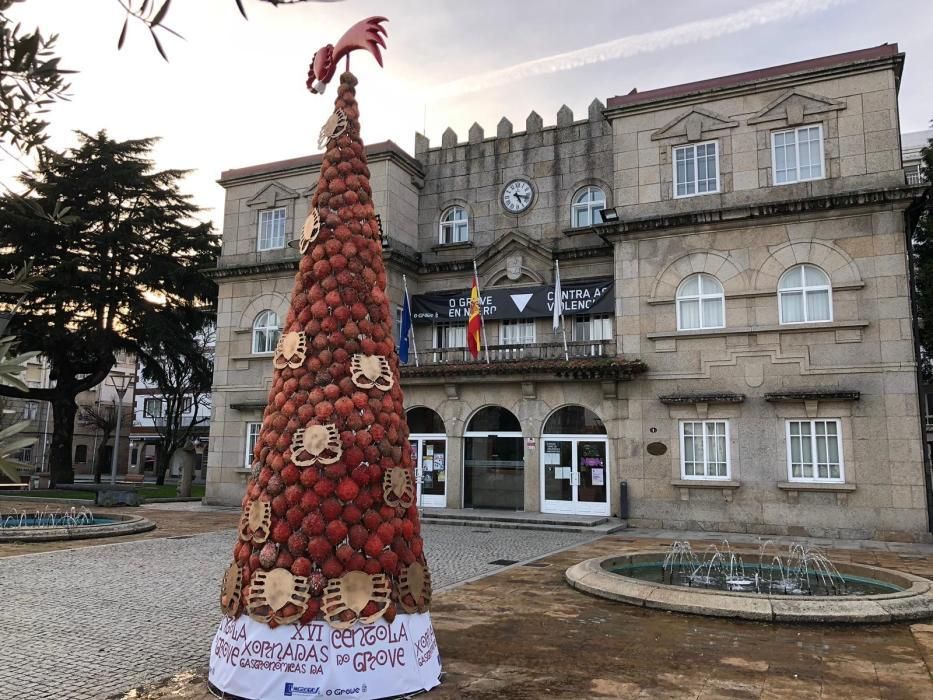 El árbol de O Grove, imbatible en originalidad // Muñiz