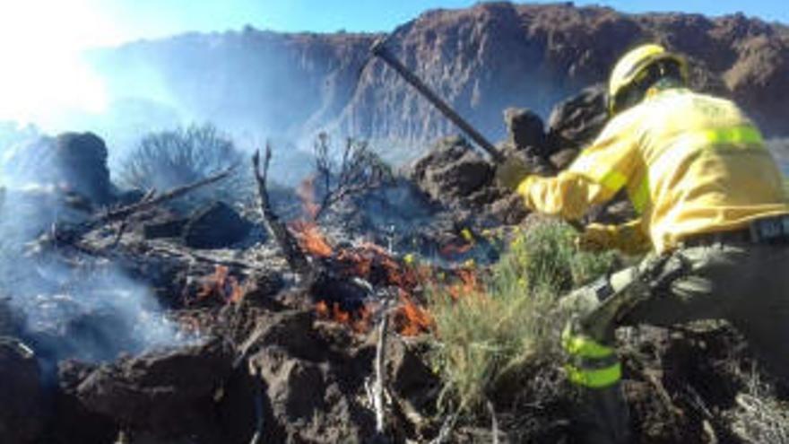 En el presente año no se ha quemado superficie arbolada en Canarias.