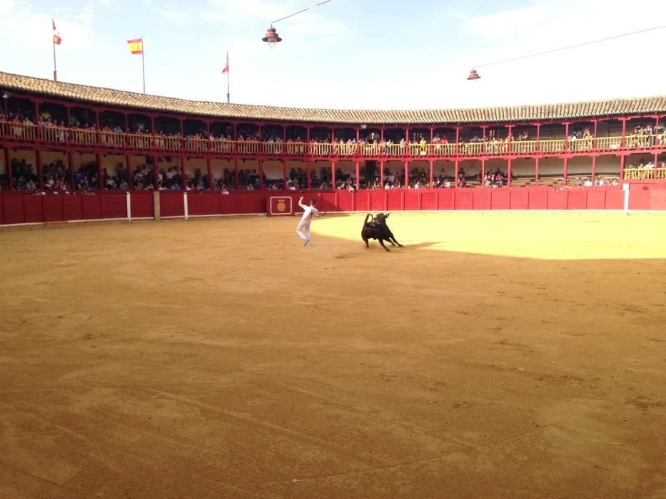 Fiestas Toro- concurso de jóvenes cortadores