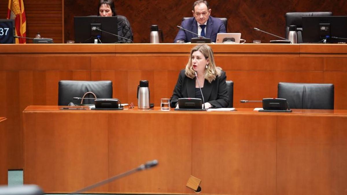 La consejera Clauida Pérez Forniés durante una comparecencia en las Cortes de Aragón.