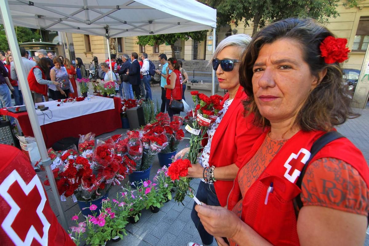 Cruz Roja reparte claveles por la igualdad