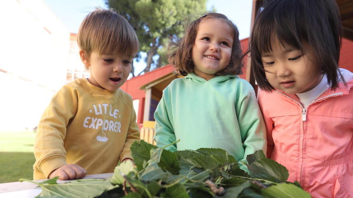 Entre otras muchas iniciativas, el colegio desarrolla el proyecto 'School Garden'.