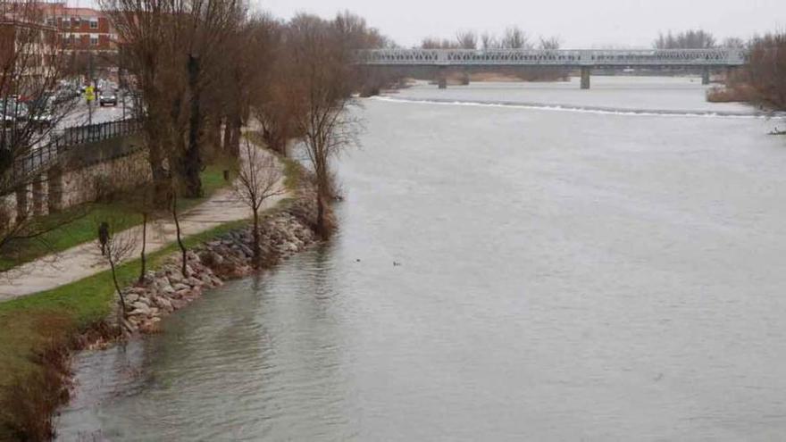 El río Duero a su paso por Zamora, ayer.