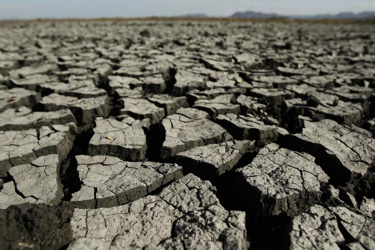 OMM prevé 2 años de &quot;grave aumento&quot; de temperaturas con la llegada de El Niño