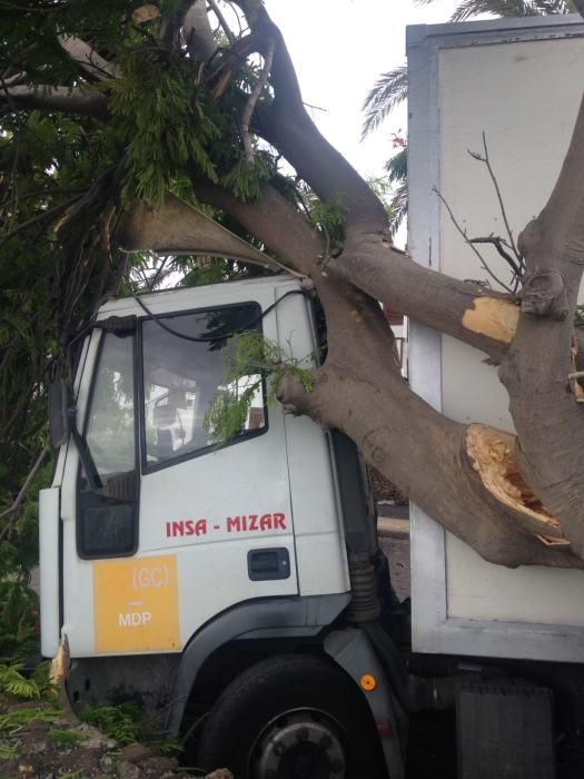 Un camión impacta contra un árbol en Playa Blanca