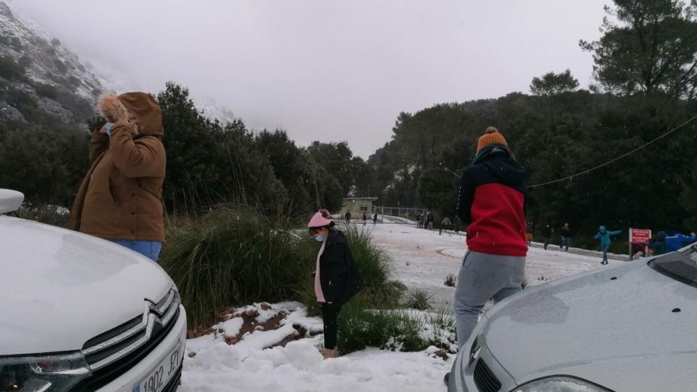 Schneefall auf Mallorca - Verkehrschaos in den Bergen