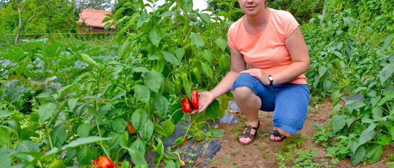 Araceli Rozada Núñez muestra algunos de los pimientos en su huerto ecológico en Siero.