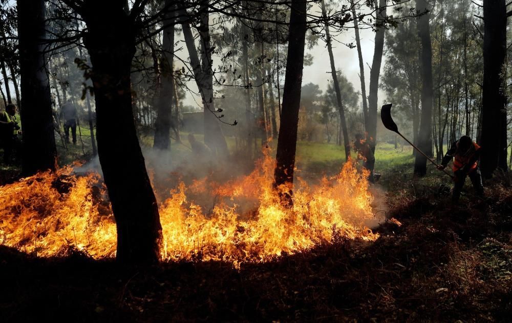 Incendio en Rianxo |El fuego arrasa más de 800 ha