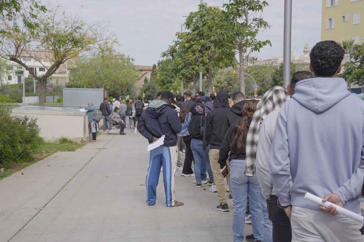 Largas colas en Palma para obtener el informe de vulnerabilidad Largas colas en Palma para obtener el informe de vulnerabilidad