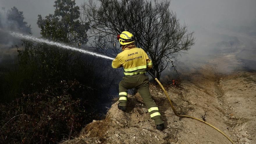 GALERÍA | Las imágenes del incendio de Carbajosa de Alba, en Zamora