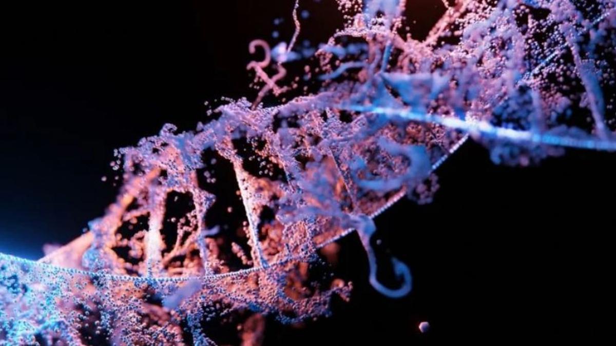 Cada vez hay menos misterios en torno al código que regula cada mínimo aspecto de la vida: el genoma humano está secuenciado casi en su totalidad.