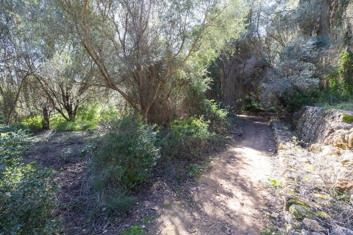 Imágenes de sa Fontassa y el río de Santa Eulària Imágenes de sa Fontassa y el río de Santa Eulària