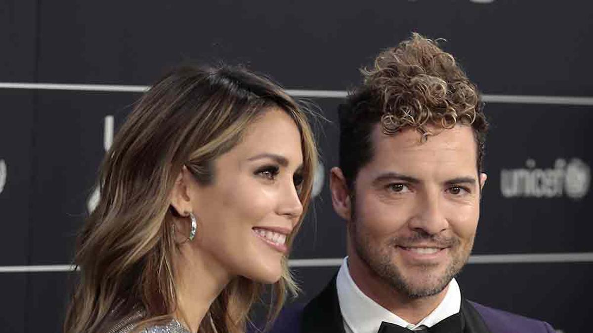 Rosanna Zanetti presumiendo de barriguita con David Bisbal