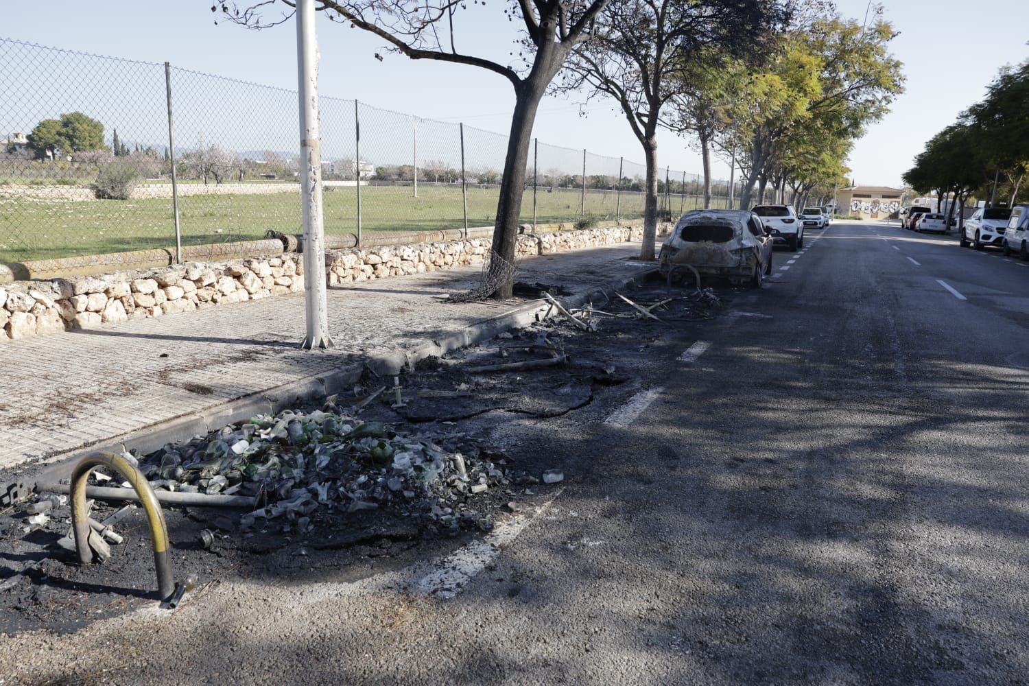 Un incendio destruye una batería de contenedores y varios coches en Palma