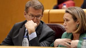 Alberto Núñez Feijóo y Cuca Gamarra, durante un pleno del Congreso.