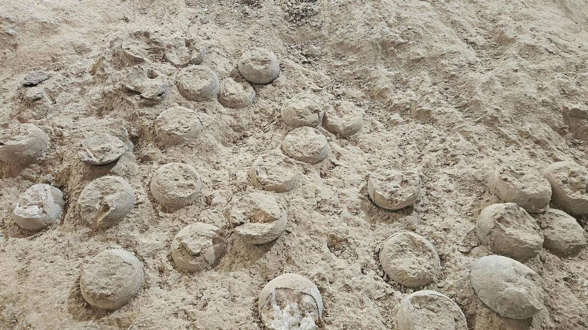 Fósiles de huevos de dinosaurio cristalizados descubiertos en Shiyan, provincia de Hubei, en el centro de China