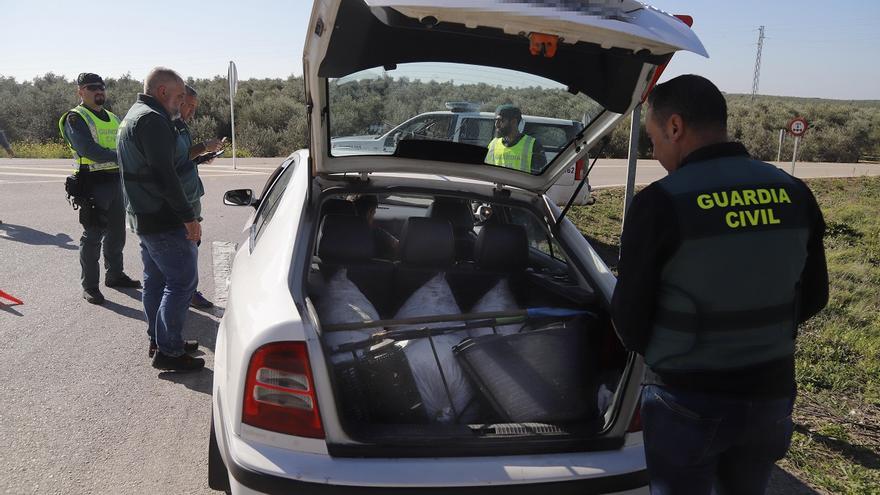 La aceituna robada en esta campaña en Córdoba ascendió a 154.822 kilos