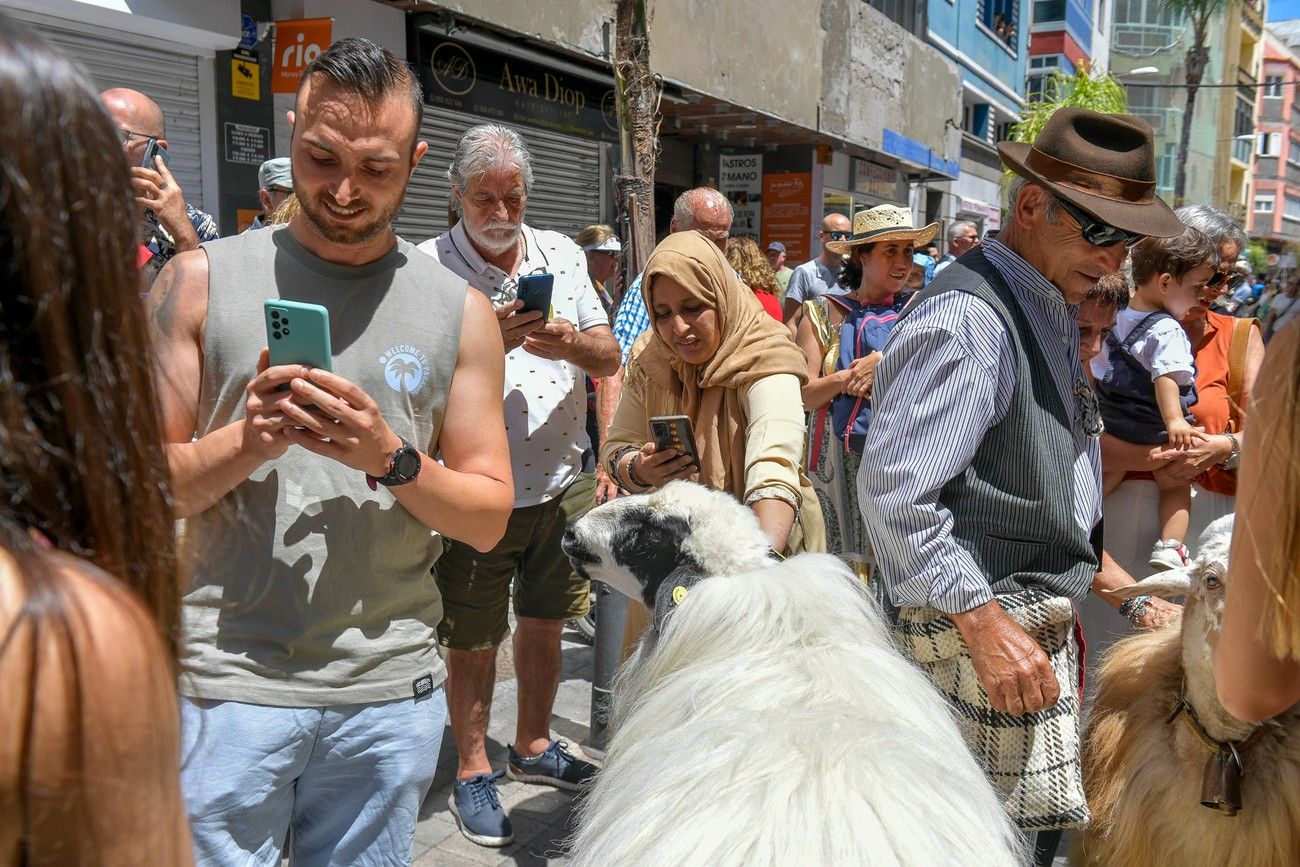 Una romería con bikini en Las Palmas de Gran Canaria