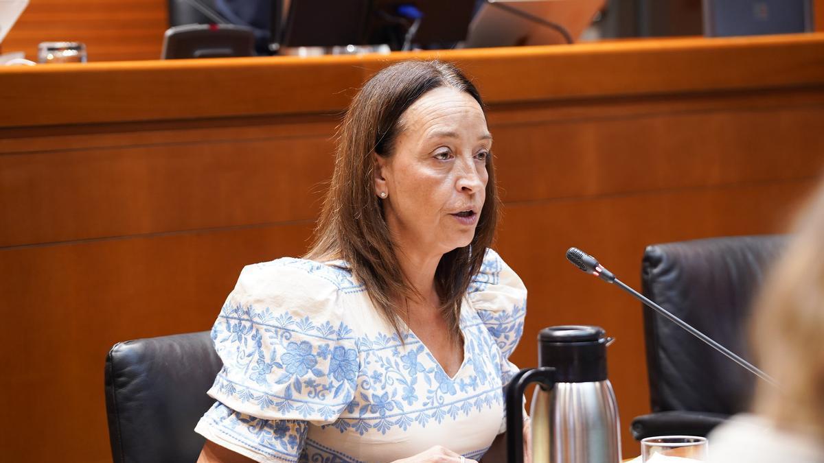 La consejera de Educación, Carmen Susín, en las Cortes, este lunes.