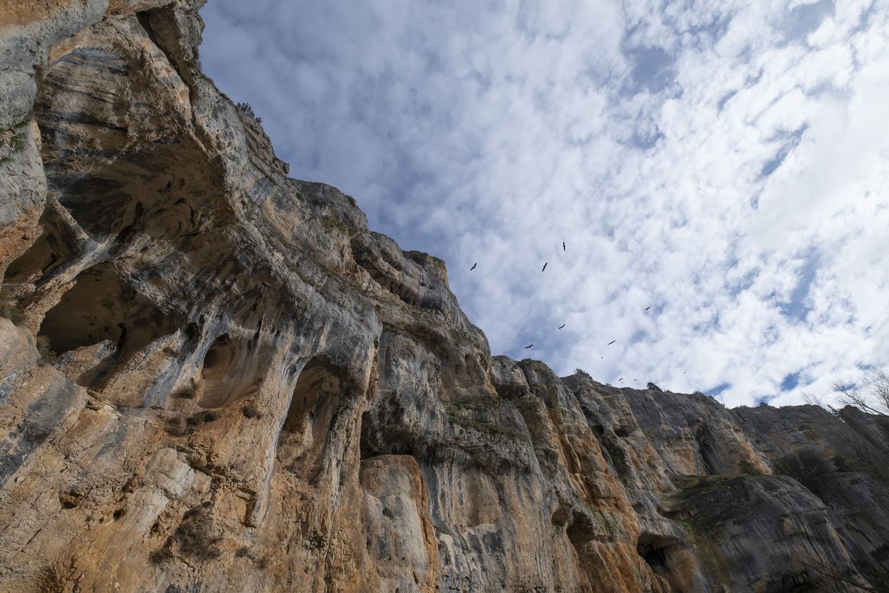 Paredes verticales de piedra caliza del Cañón del Río Lobos.