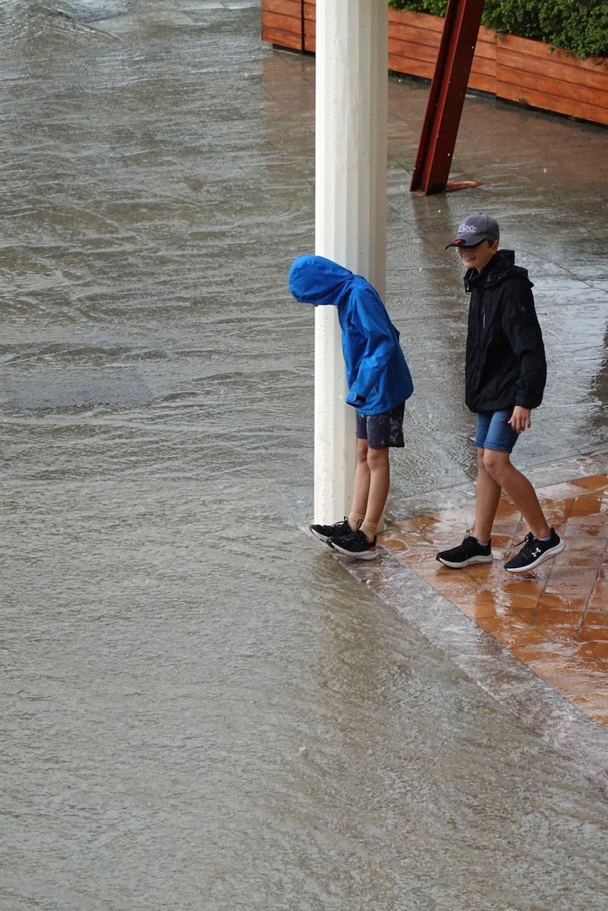 Una tormenta derriba una palmera y causa inundaciones en calles en Alcúdia