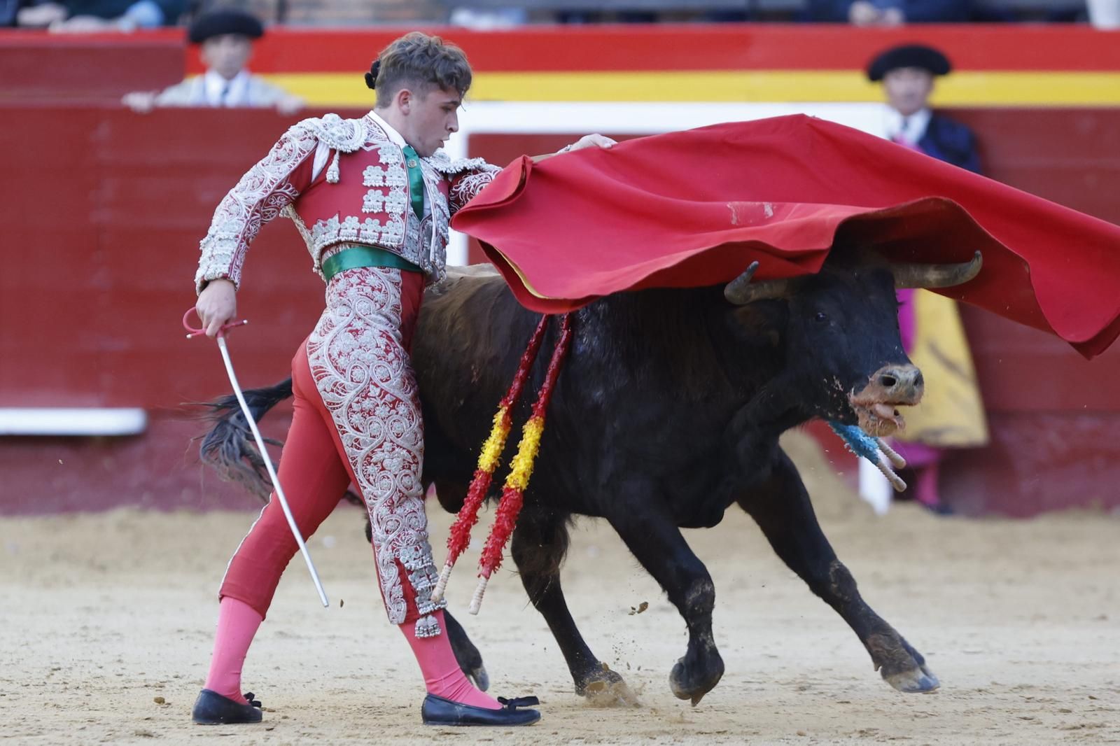 La novillada sin picadores de la Feria de Fallas, en imágenes