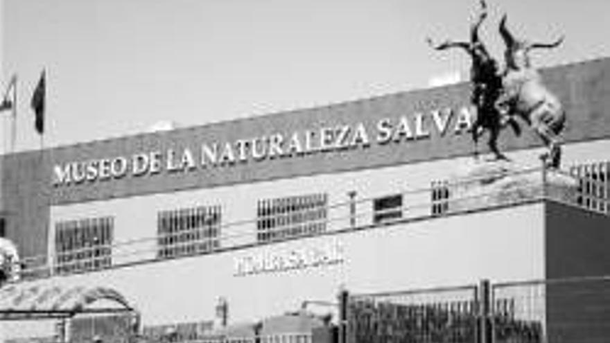 El museo de la naturaleza salvaje expone 420 piezas