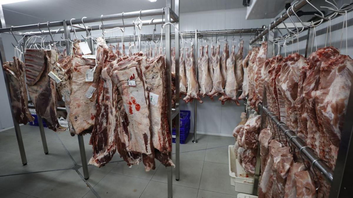 Piezas de carne almacenadas en la zona de frío de las nuevas instalaciones. | J.A. RIERA