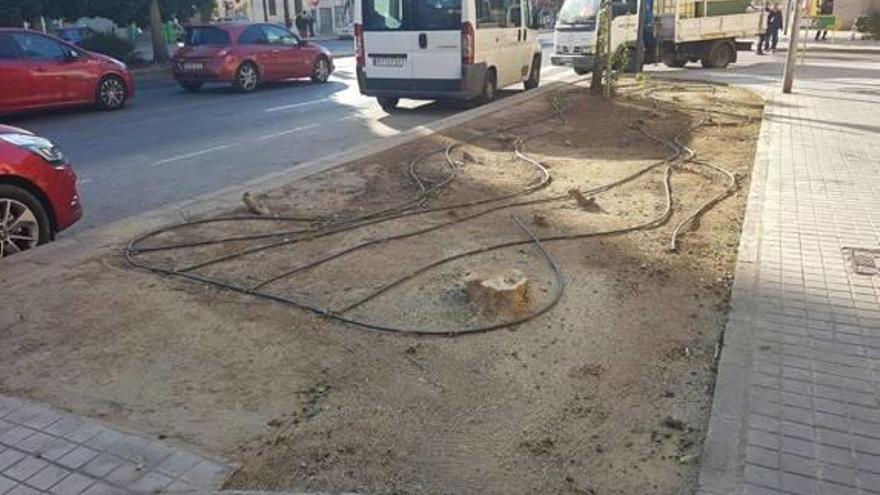 Beteró protesta por la destrucción de zona verde por el carril-bici