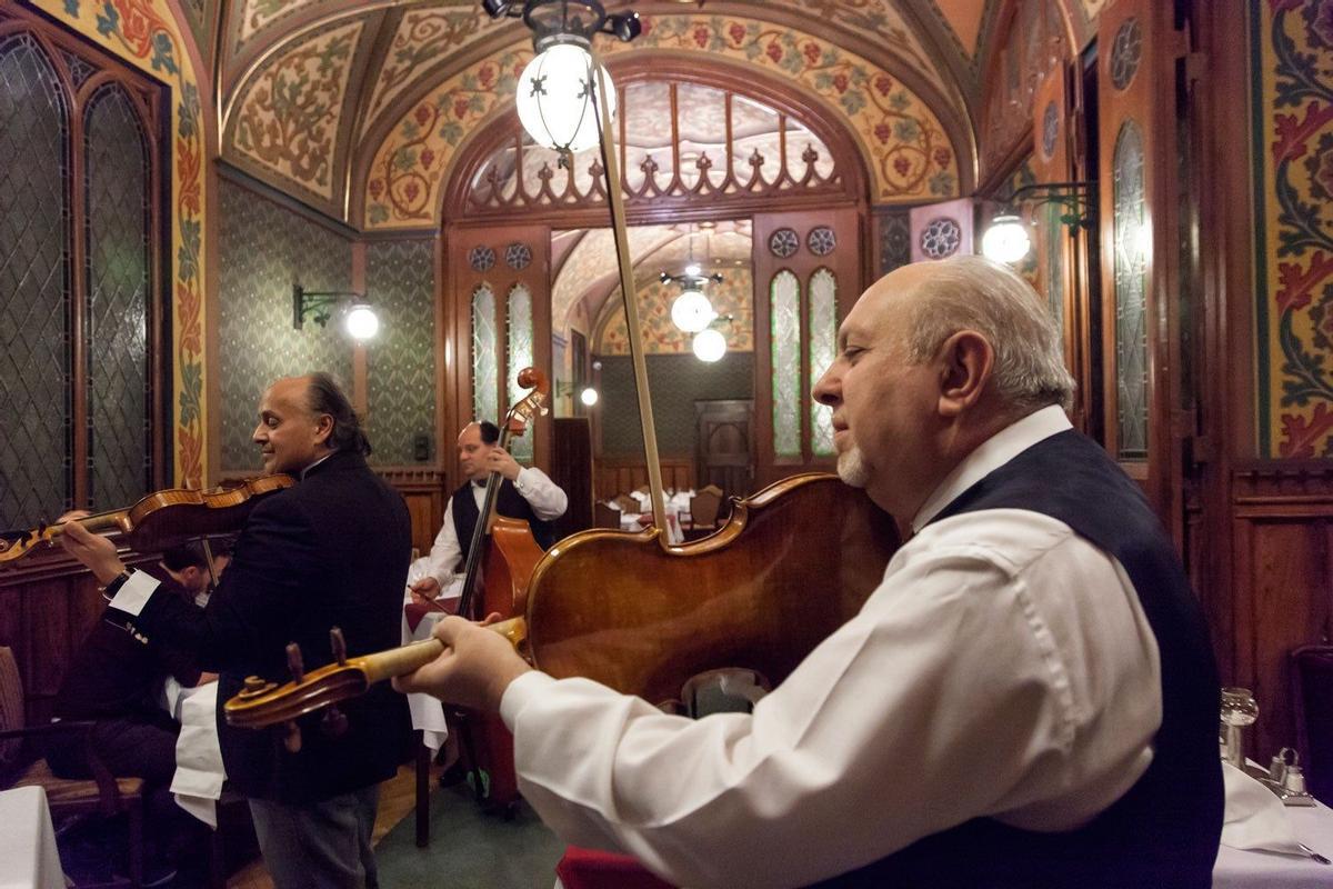 Violinista