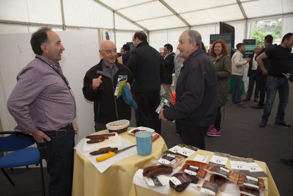 Inauguración de la feria de turismo minero en el pozo Sotón de Hunosa