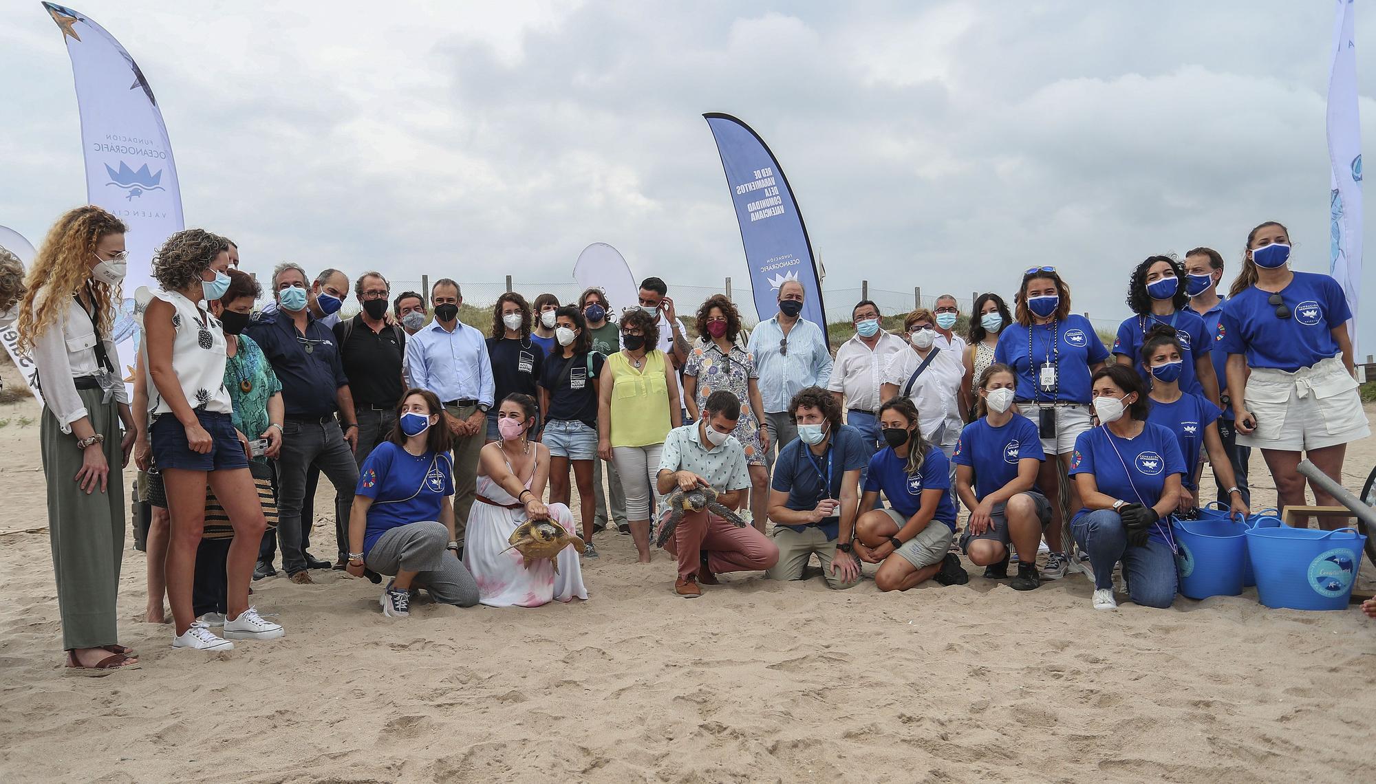 Liberación de tortugas marinas en el Parador de El Saler