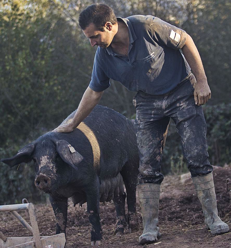 Aitor Quinta acallentando a una madre mientres les sos críes esperen a que les alimenten. |  M. L.