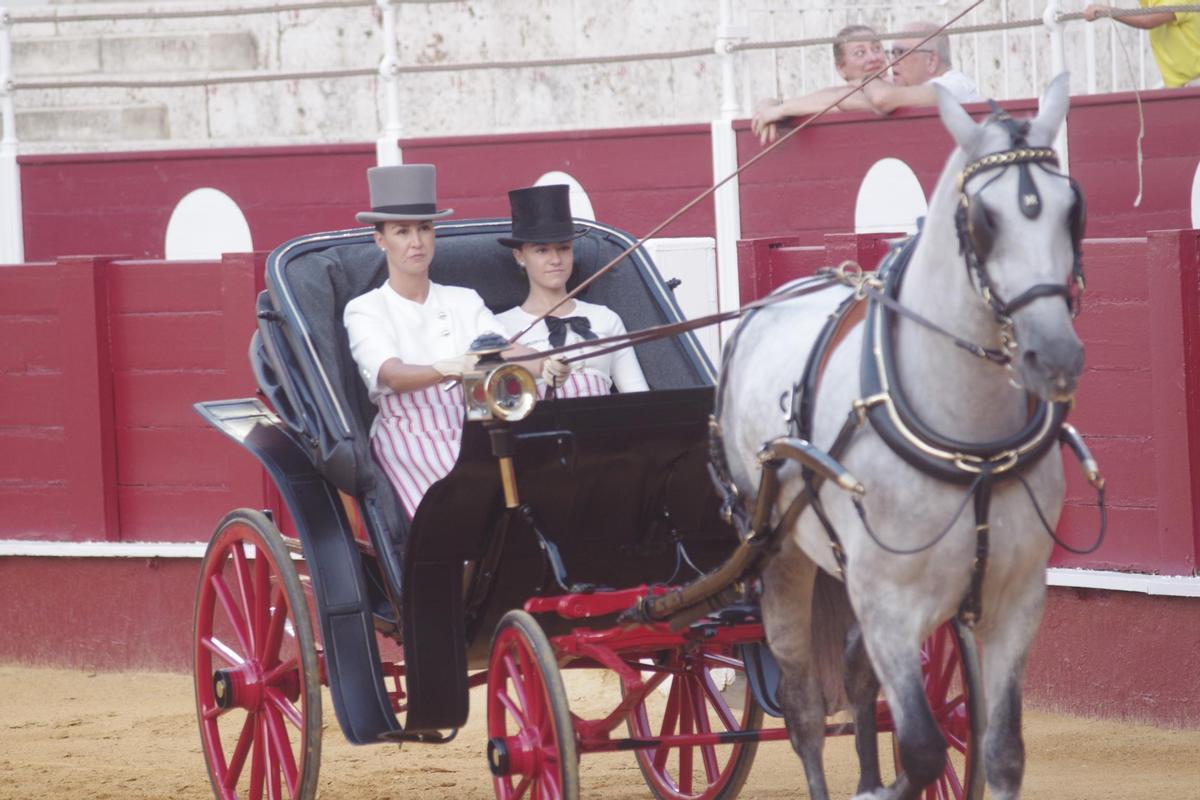 Fotos del concurso de exhibición de Enganches de Caballos Ciudad de Málaga 2026