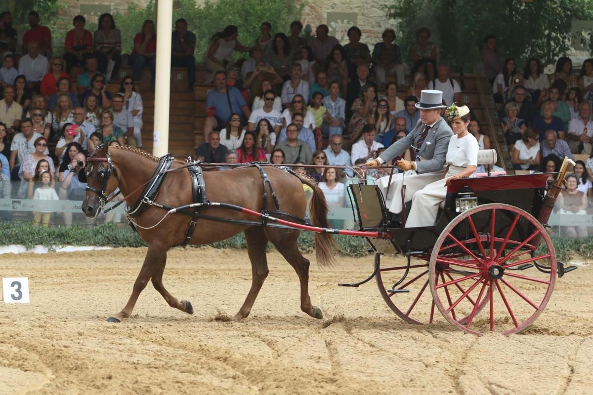 Concurso de atalaje de tradición en Cabalcor