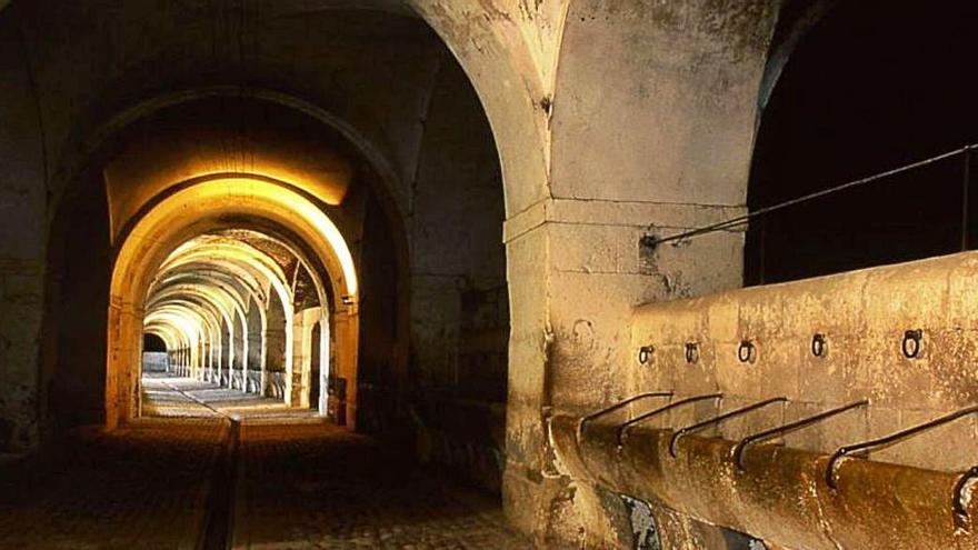 L’exèrcit fa demostracions obertes al públic al castell de Sant Ferran de Figueres