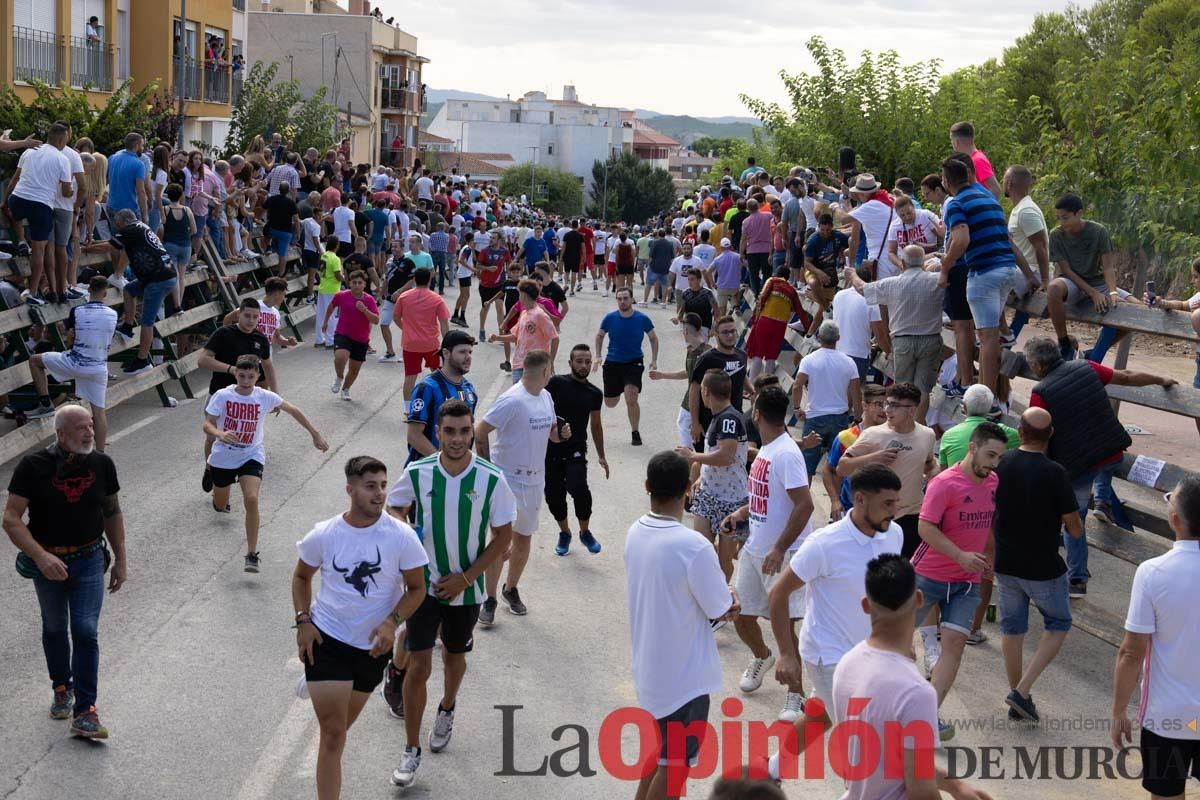 Primer encierro de la Feria del Arroz de Calasparra