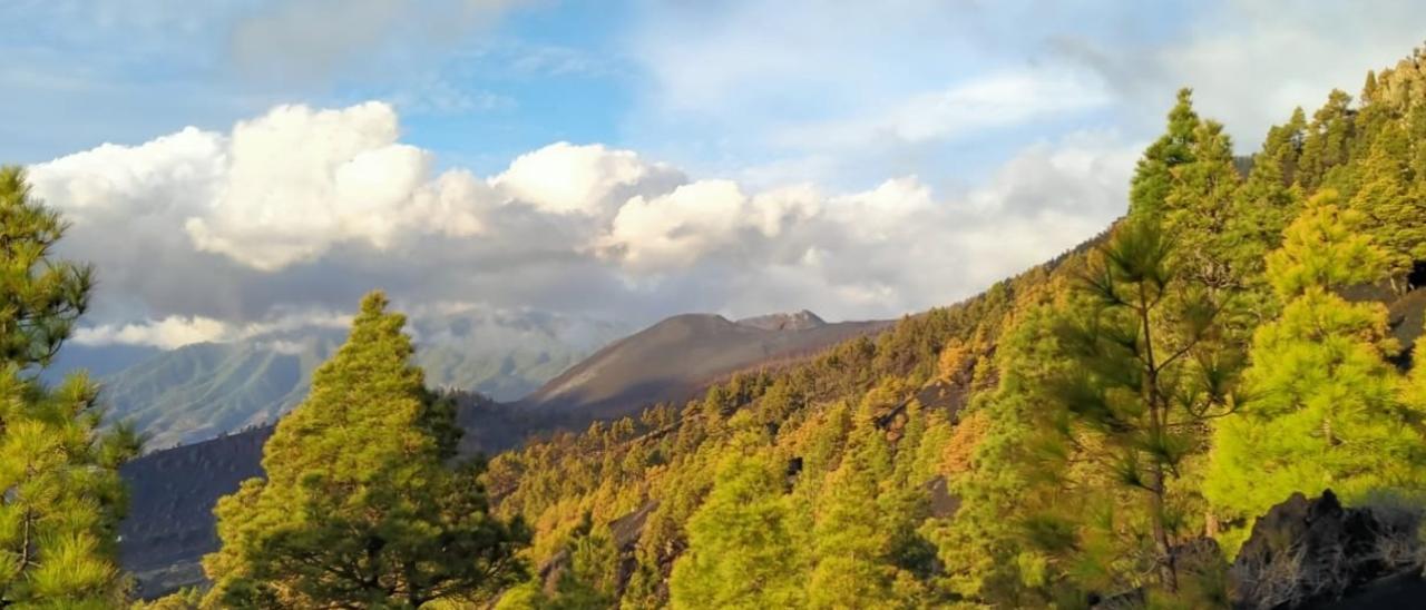 Diez minutos sin apartar la mirada por el volcán de La Palma