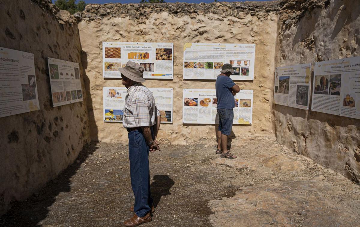 Centro de divulgación de la abeja ibicenca, que aprovecha las ruinas de una vieja casa en es Rafal Trobat. | IRENE VILÀ CAPAFONS