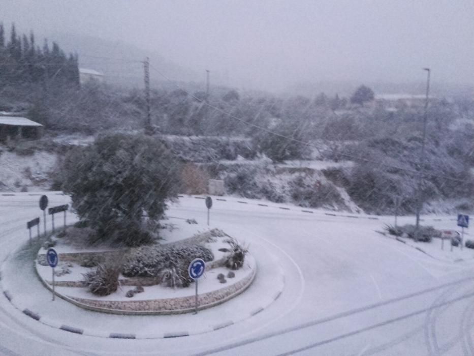 Una fina capa de nieve ha cubierto las playas, los techos de los vehículos, zonas verdes y tejados de Torrevieja, Orihuela Costa y Pilar de la Horadada