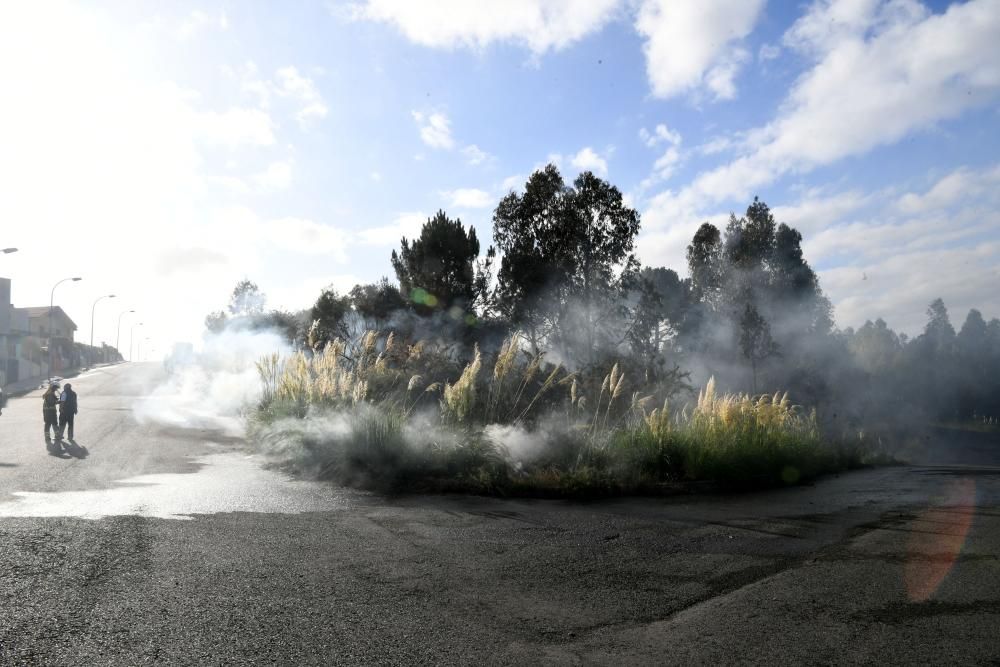 El fuego, en una zona situada entre A Zapateira y A Corveira, se inició pasadas las ocho de la mañana y quedó sofocado al filo de las 10.00 horas.