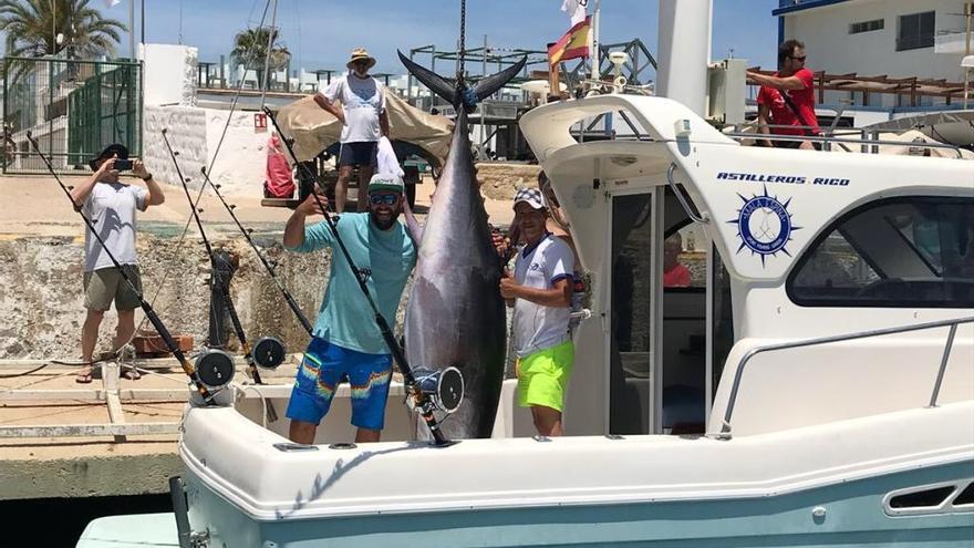 Capturan en Gandia un atún rojo de 220 kilos
