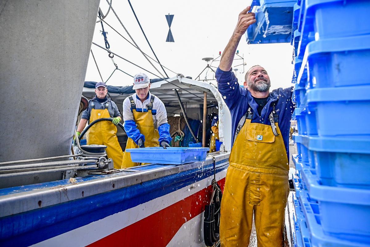 Manuel Peña, patrón mayor de la cofradía de Castelló, descarga pescado de su embarcación.