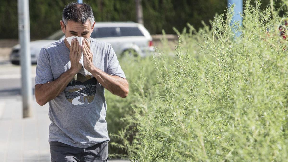 Una primavera dura para los alérgicos en la Región