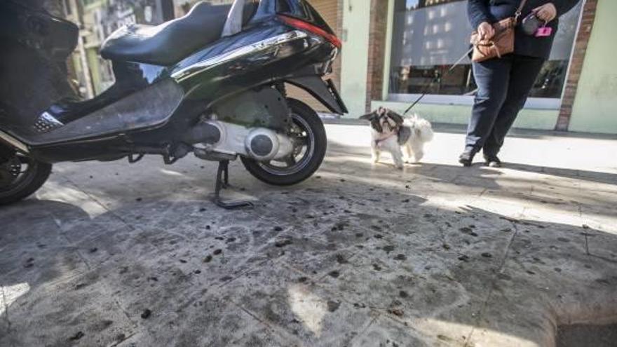 Restos de dátiles aplastados en una transitada acera de la Plaza América, que generan críticas entre los vecinos.