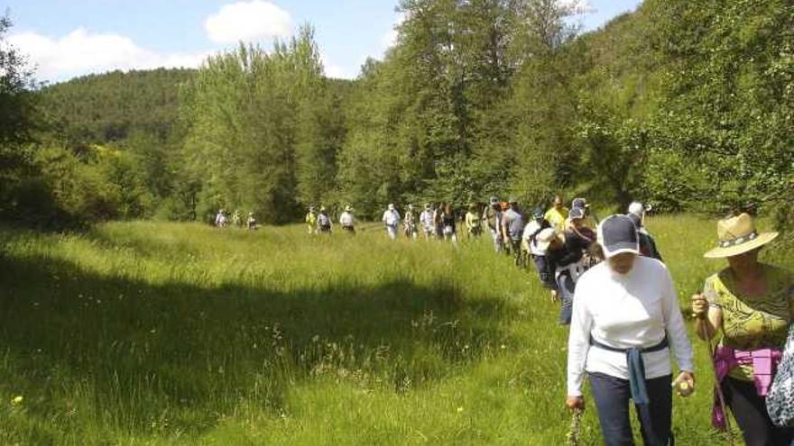 Participantes en la jornada de senderimso rural realizada en Trabazos.