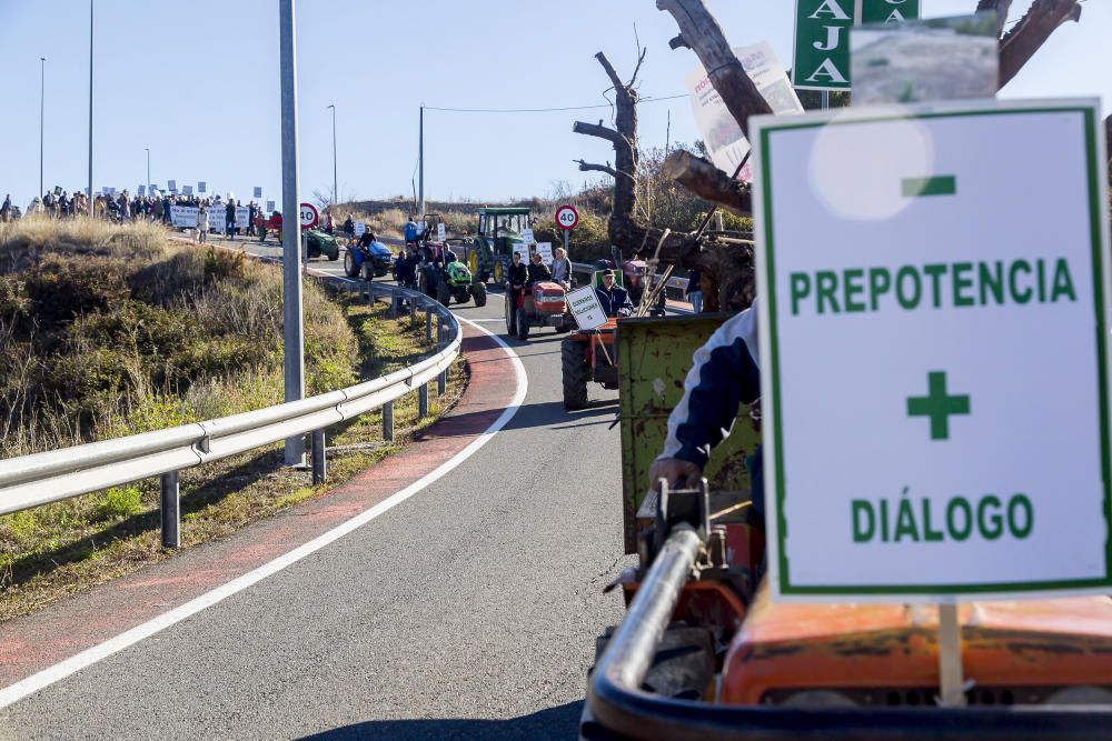 Agricultores de la provincia se manifiestan contra el plan de erradicación de la Xylella del Consell